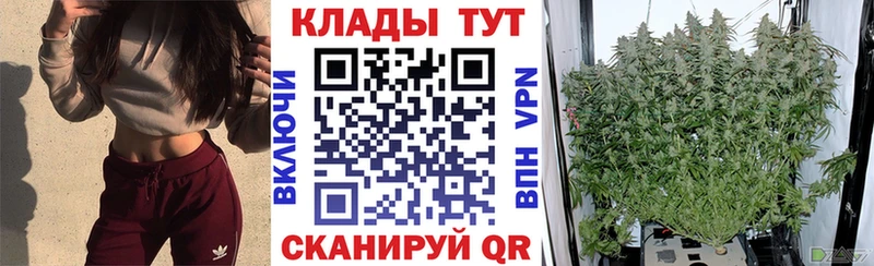 ТГК Петрозаводск