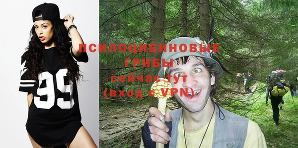 гашик Балабаново