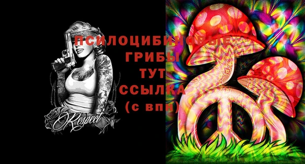 гашик Балабаново
