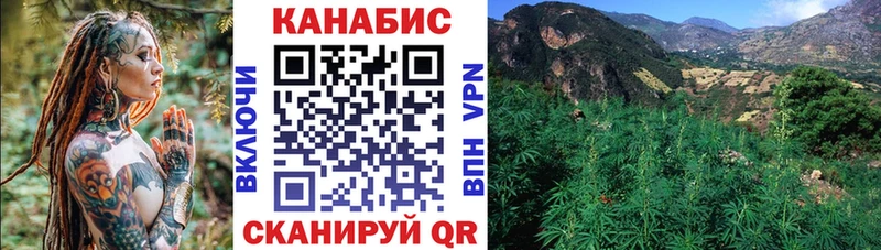 darknet клад  закладка  Петрозаводск  Канабис конопля 